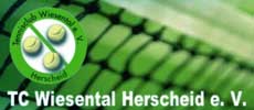 TC Wiesental 2010-11
